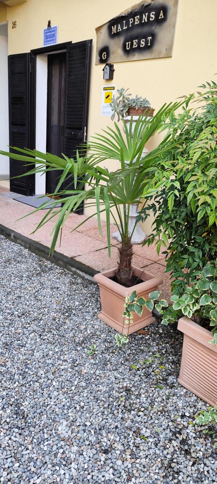 Malpensa Guest Villa Case Nuove  Exterior photo